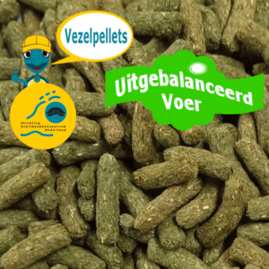 Vezelpellets zijn geschikt als voer voor alle landschildpadden