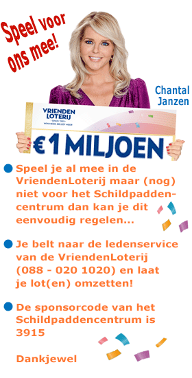 Speel voor het Schildpaddencentrum mee in de VriendenLoterij