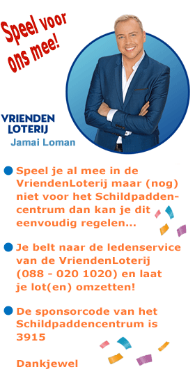 Speel voor het Schildpaddencentrum mee in de VriendenLoterij