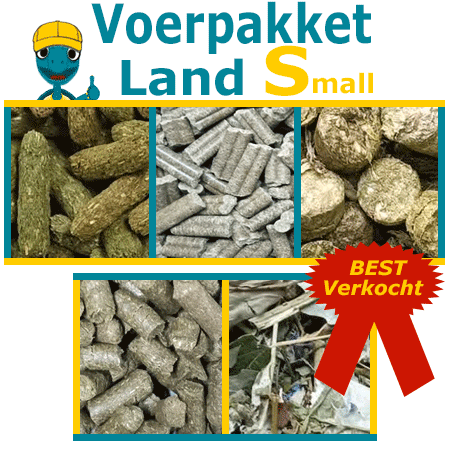 Uitgebalanceerd voerpakket afgestemd op jonge landschildpadden