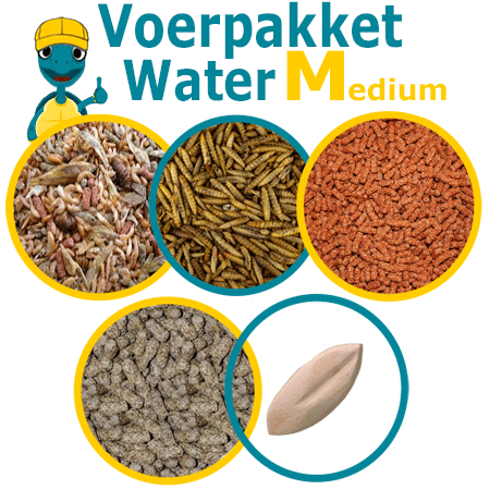 Voer voor Waterschildpadden