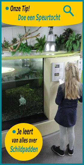 Topper op gebied van Educatie