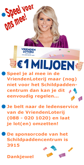 Speel voor het Schildpaddencentrum mee in de VriendenLoterij