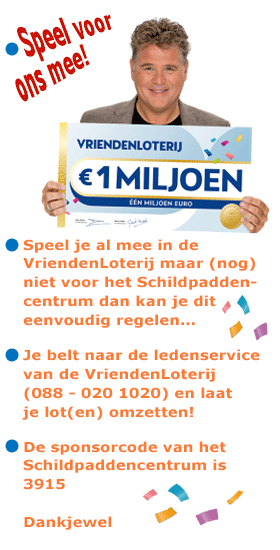 Speel voor het Schildpaddencentrum mee in de VriendenLoterij