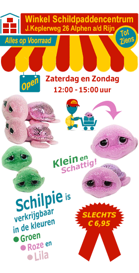 Schilpie de schattige pluche schildpad van het Schildpaddencentrum