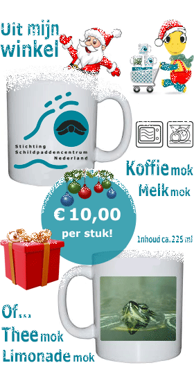 Ook deze mok kan de Kerstman kopen in de winkel van het Schildpaddencentrum
