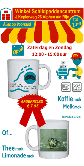 Koffiemok Schildpaddencentrum