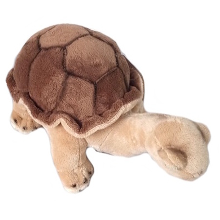 Karel de Galapagosschildpad. Deze pluche schildpad heeft de kleuren en vorm van de bekende Reuzenschildpad