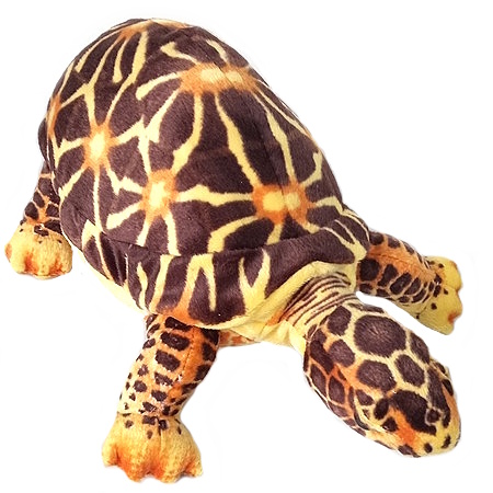 Linda de Sterschildpad. Een op de Sterschildpad gelijkende pluche landschildpad