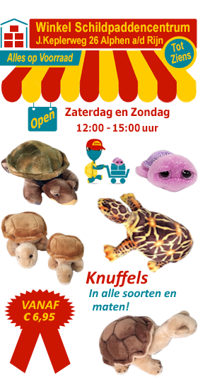 In onze winkel verkopen we alle soorten en maten knuffels