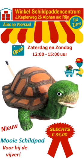Mooie schildpad met spuitbek voor bij de vijver