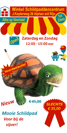 Mooie schildpad met spuitbek voor bij de vijver