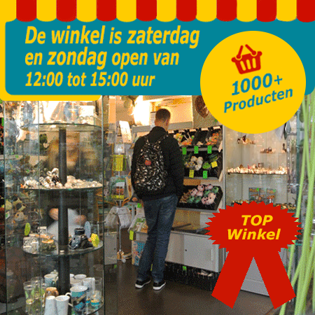 Bezoek de fysieke winkel van het Schildpaddencentrum in Alphen a/d Rijn