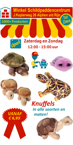In onze winkel verkopen we alle soorten en maten schildpad knuffels