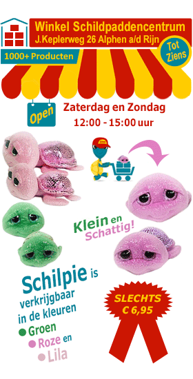Schilpie de schattige pluche zeeschildpad van het Schildpaddencentrum