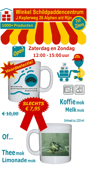 Koffiemok Schildpaddencentrum