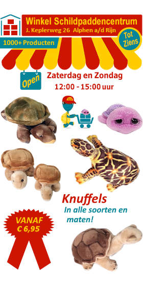In onze winkel verkopen we alle soorten en maten schildpad knuffels
