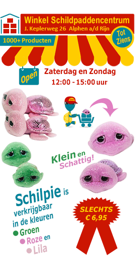 Schilpie de schattige pluche zeeschildpad van het Schildpaddencentrum