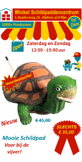 Mooie schildpad met spuitbek voor bij de vijver