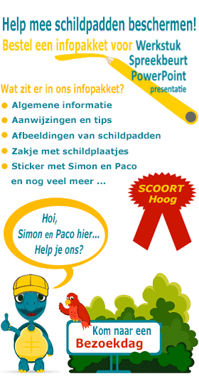 Infopakket Schildpadden met sticker voor spreekbeurt of werkstuk