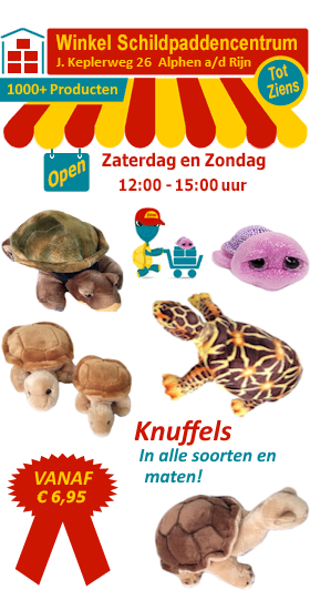 In onze winkel verkopen we alle soorten en maten schildpad knuffels