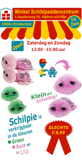 Schilpie de schattige pluche zeeschildpad van het Schildpaddencentrum