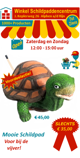 Mooie schildpad met spuitbek voor bij de vijver