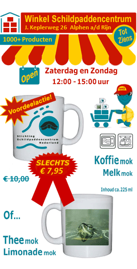 Koffiemok Schildpaddencentrum