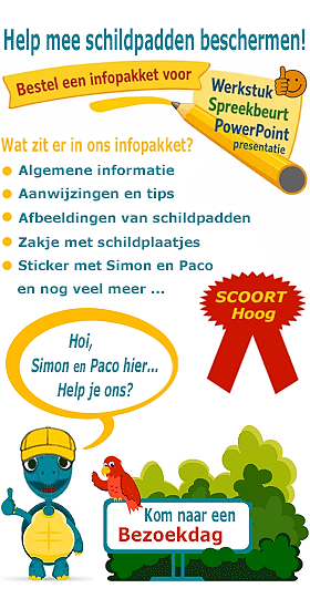 Infopakket Schildpadden met sticker voor spreekbeurt of werkstuk