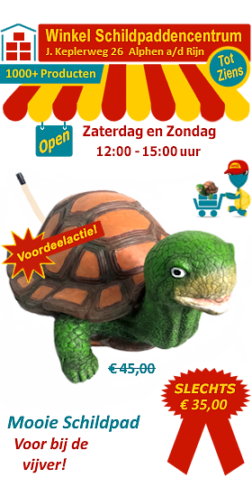 Mooie schildpad met spuitbek voor bij de vijver